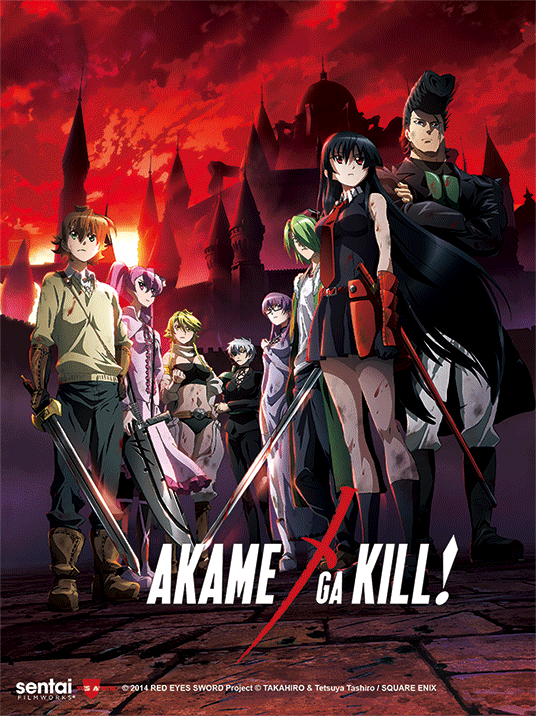 Akame Ga Kill 3D Lenticular Wall Art Poster Framed