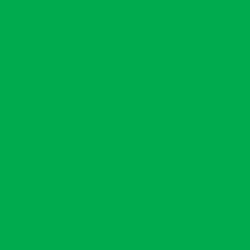 DELETER Neopiko-2 Dual-tipped Alcohol-based Marker - Vivid Green (422)
