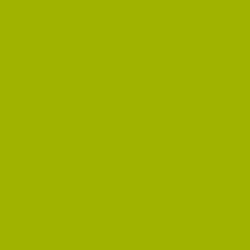 DELETER Neopiko-2 Dual-tipped Alcohol-based Marker - Moss Green (424)
