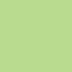 DELETER Neopiko-2 Dual-tipped Alcohol-based Marker - Mint Green (442)