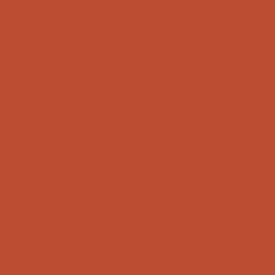 DELETER Neopiko-2 Dual-tipped Alcohol-based Marker - Terra-Cotta (538)