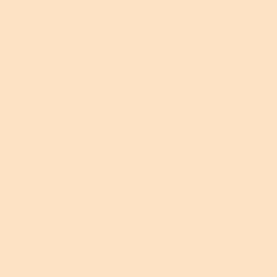 DELETER Neopiko-2 Dual-tipped Alcohol-based Marker - Powder Pink (554)