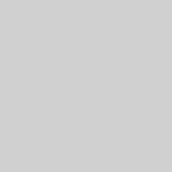 DELETER Neopiko-2 Dual-tipped Alcohol-based Marker - Neutral 3 (563)