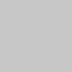 DELETER Neopiko-2 Dual-tipped Alcohol-based Marker - Cool Grey 3 (573)